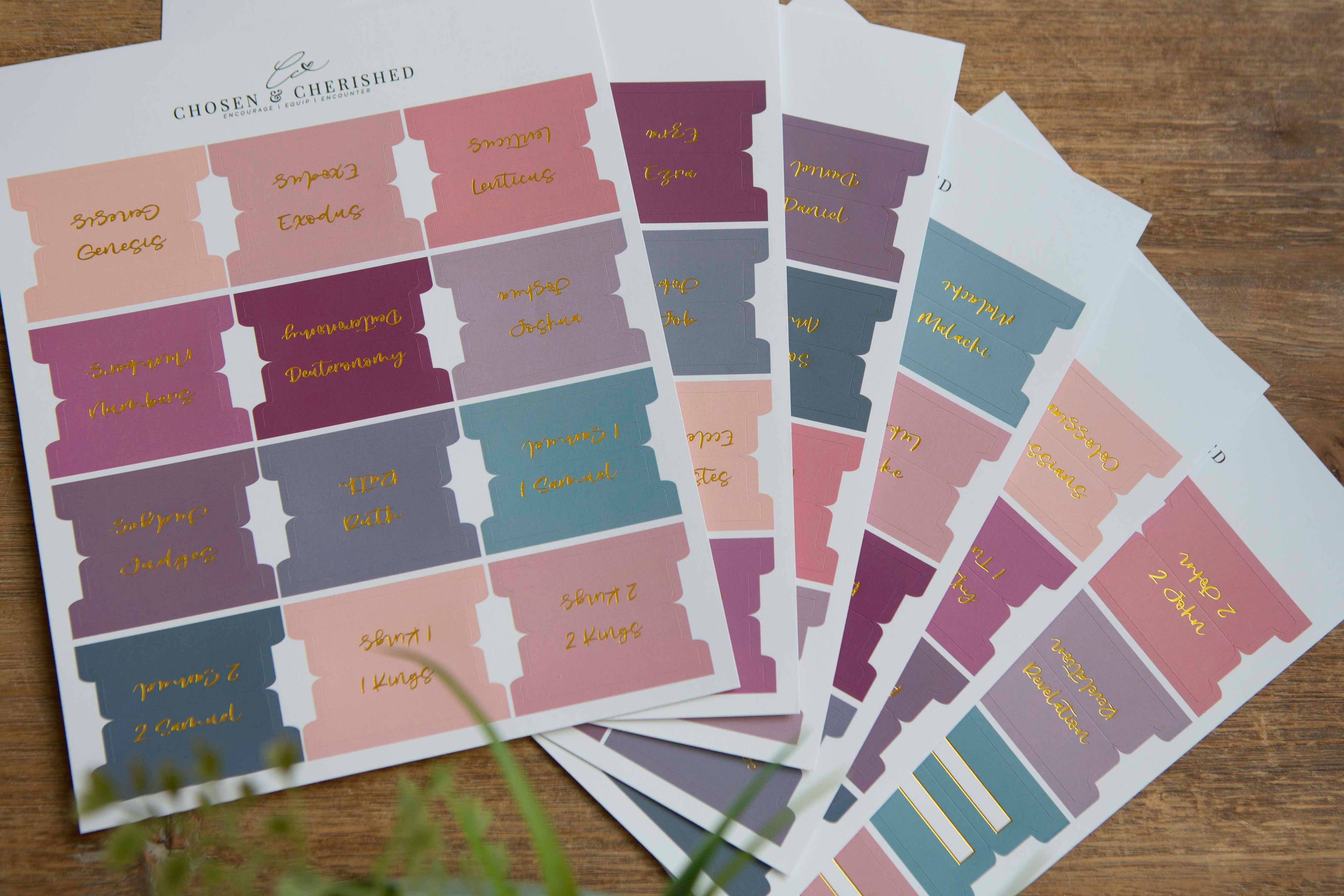 Ombre Bible Index Tabs | Colorful Bible Tabs