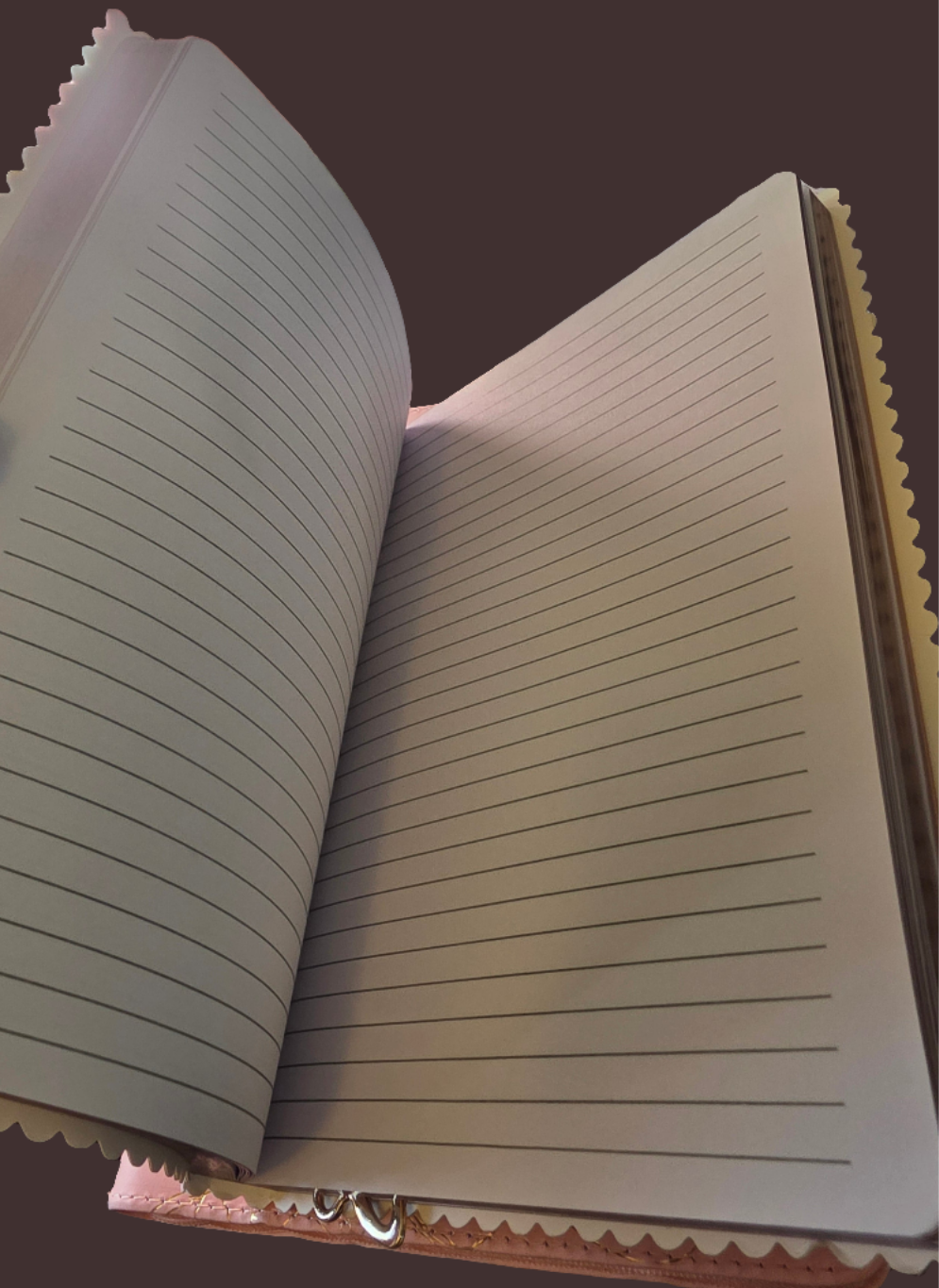 With Brave Wings- Notebook