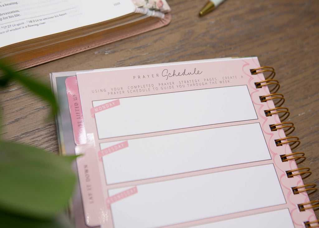 New Mercies Prayer Journal for Women