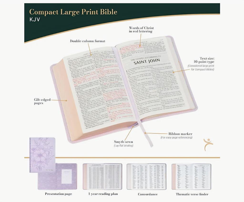 Kjv Bible, Purple