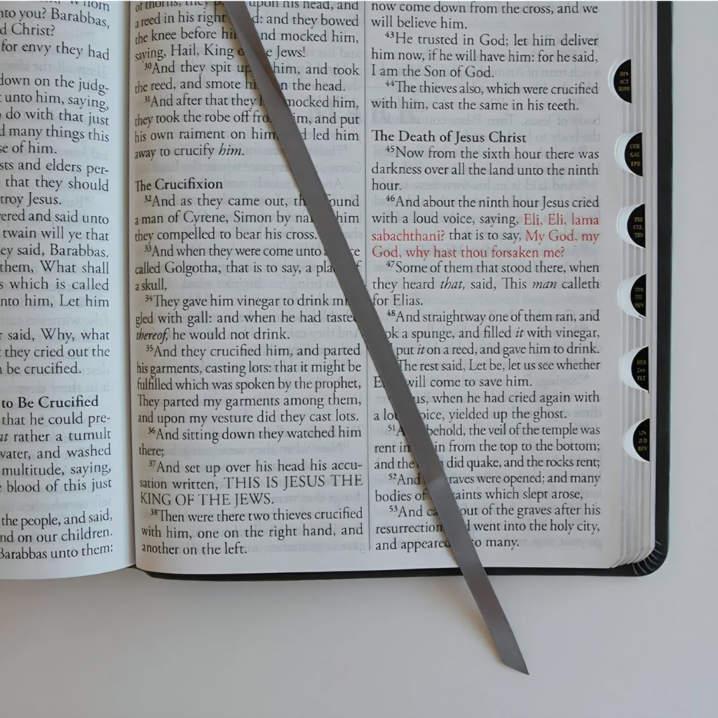 KJV Holy Bible, Thin, Gray