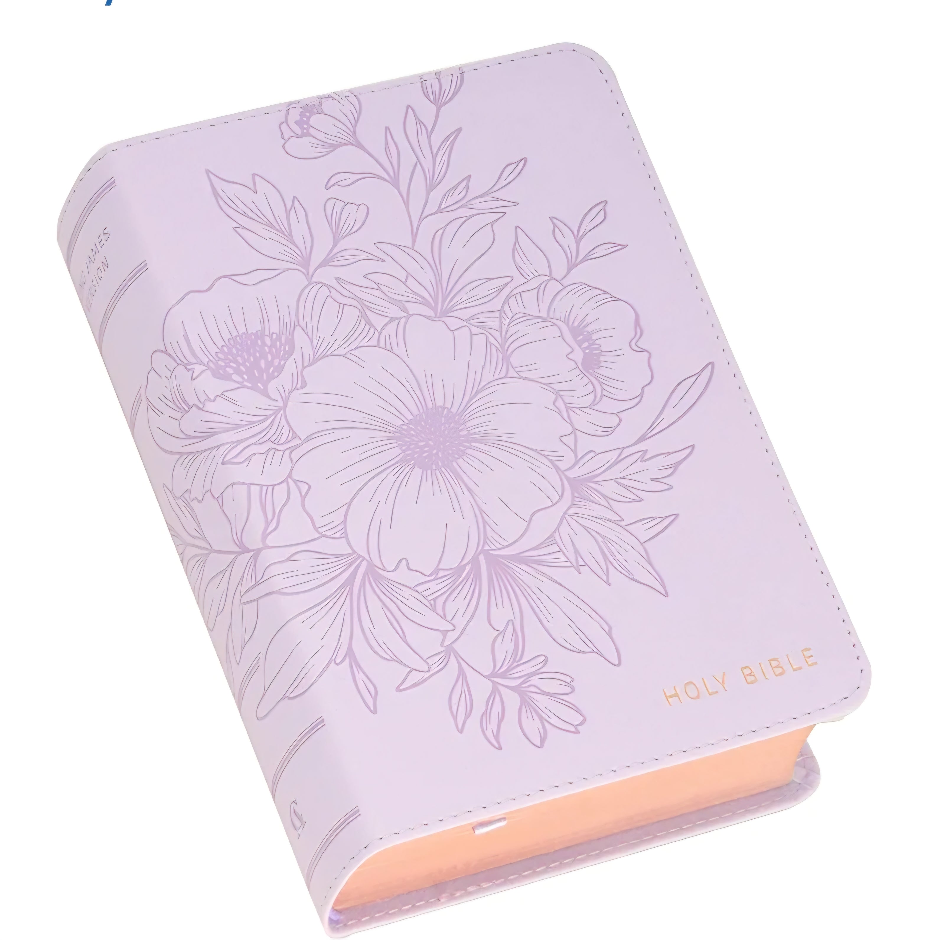 Kjv Bible, Purple